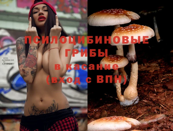 МДПВ Новодвинск