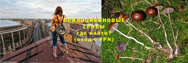 дурь Новокубанск