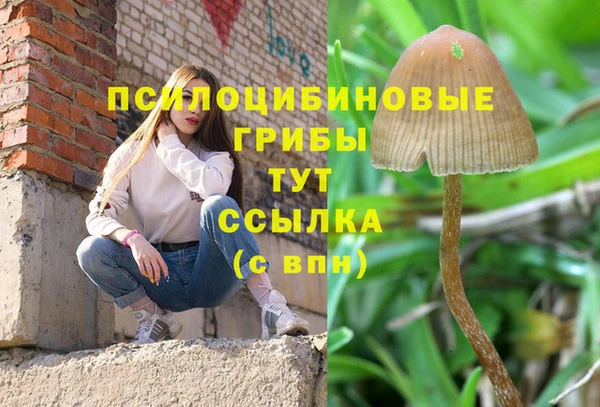 винт Наволоки