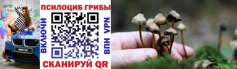 Псилоцибиновые грибы Cubensis  мориарти формула  Яранск 